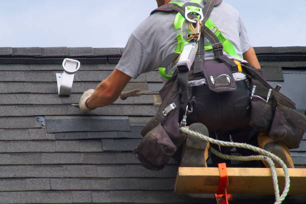 Best Shingle Roofing Installation  in Las Lomas, TX