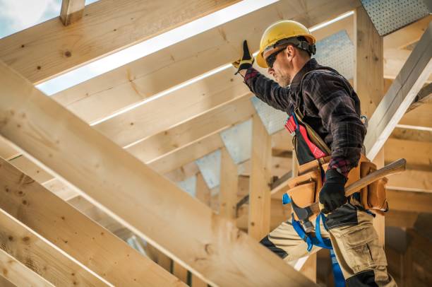 Best Roof Maintenance Services  in Las Lomas, TX