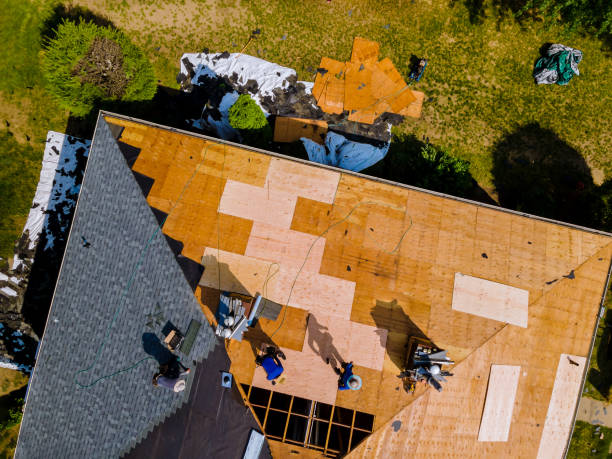 Tile Roofing Contractor in Las Lomas, TX