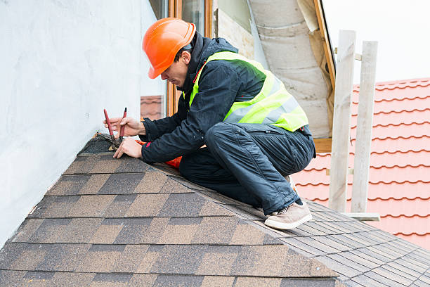 Best Metal Roofing Contractor  in Las Lomas, TX